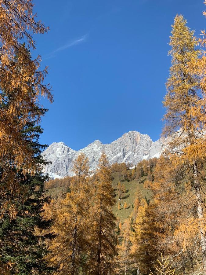 Aparthotel Das Hochkoenig Ramsau am Dachstein Kültér fotó